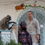 Навадвип Дхам Парикрама 2016. Шри Чайтанья Сарасват Матх