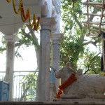 Навадвип Дхам Парикрама 2016. Шри Чайтанья Сарасват Матх